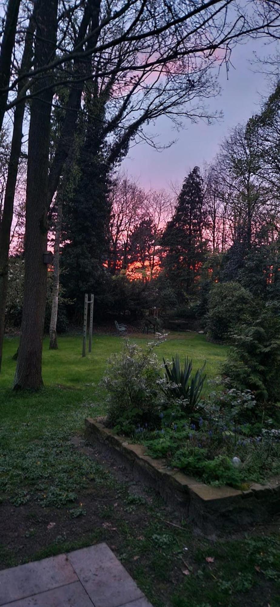 B&B Dersum Dream Dış mekan fotoğraf